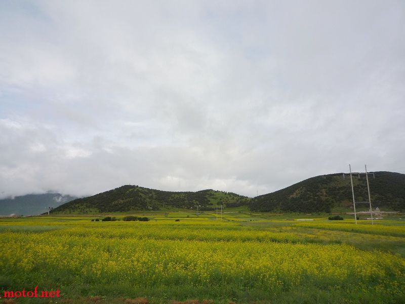 P1030014.jpg
