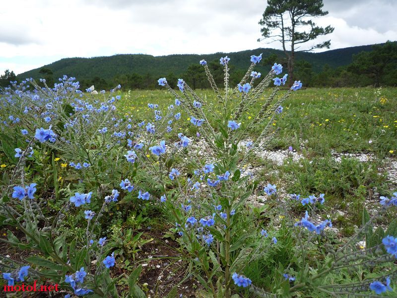 P1020904.jpg