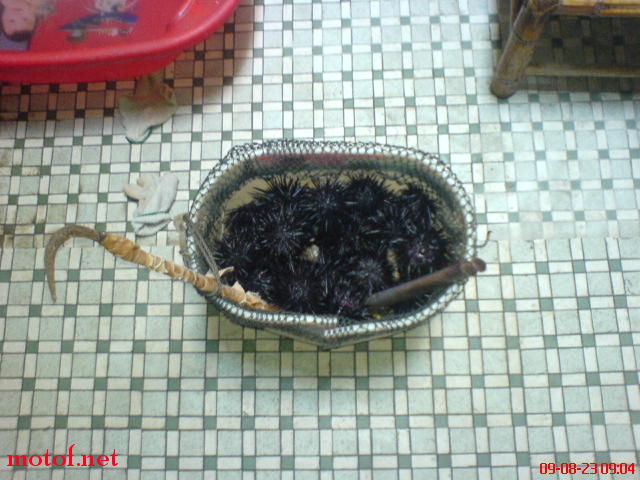 DSC00356.JPG