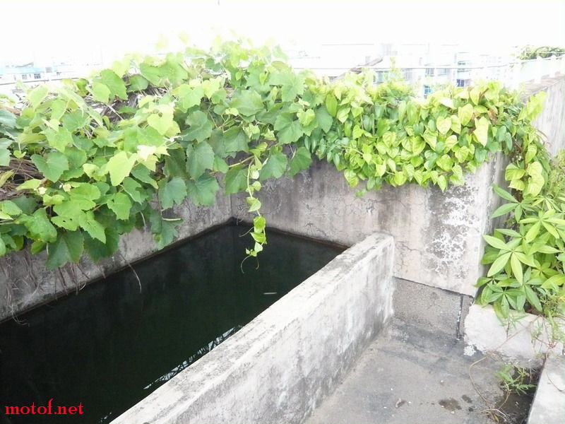 P1120819_调整大小.JPG