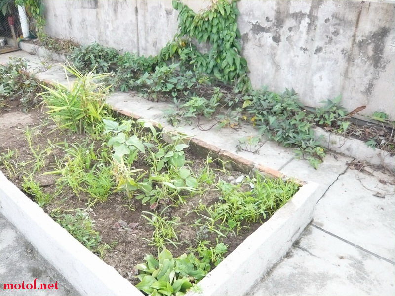 P1120821_调整大小.JPG
