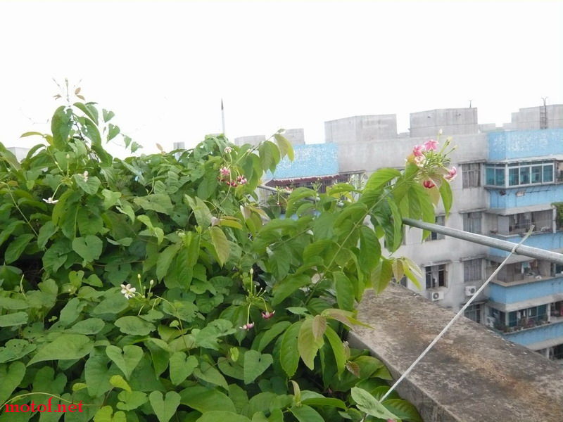 P1120825_调整大小.JPG