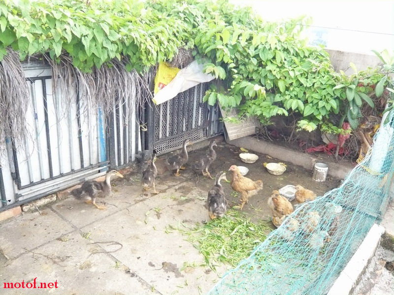 P1120824_调整大小.JPG