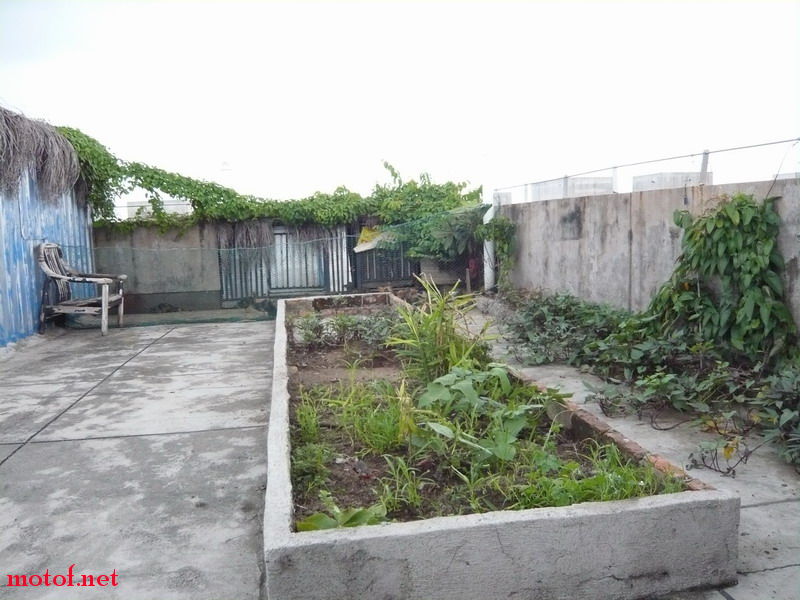 P1120828_调整大小.JPG