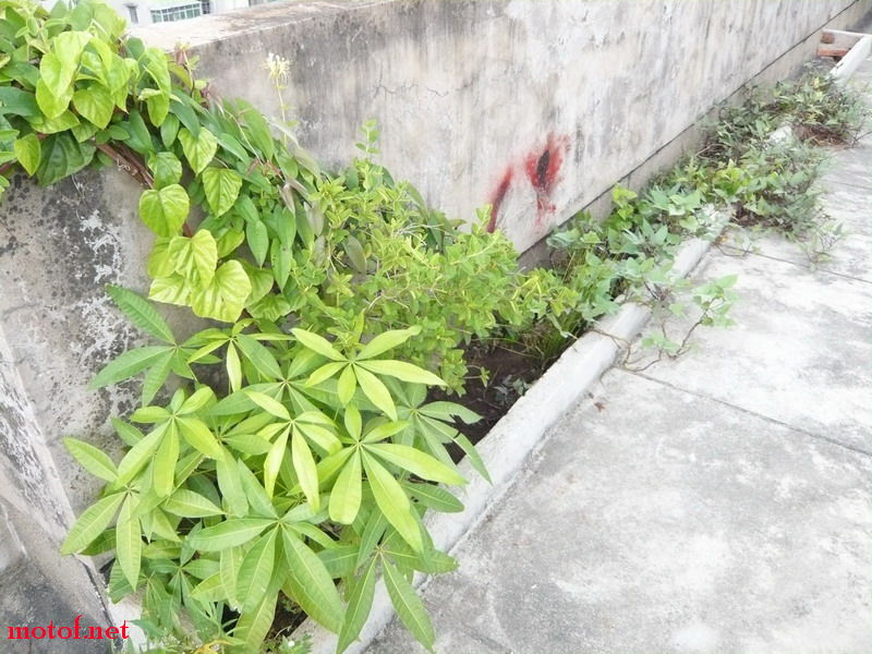 P1120823_调整大小.JPG