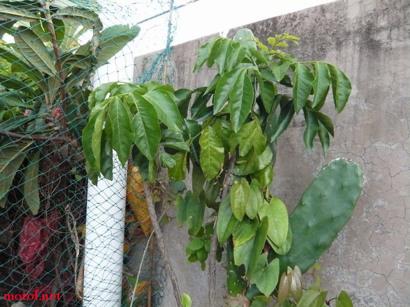 P1120835_调整大小.JPG