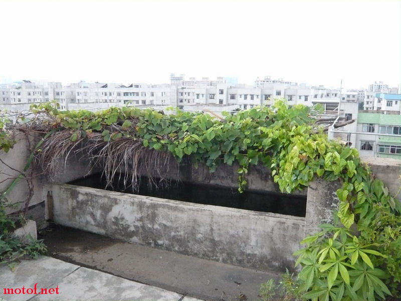 P1120817_调整大小.JPG