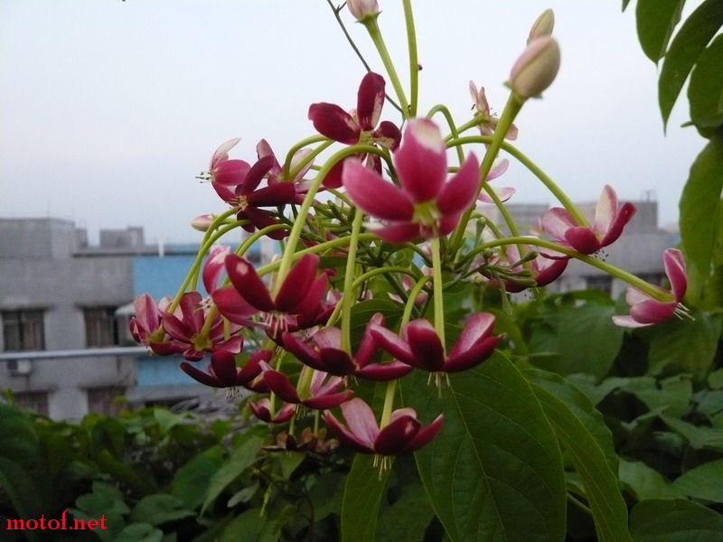 P1120870_调整大小.JPG
