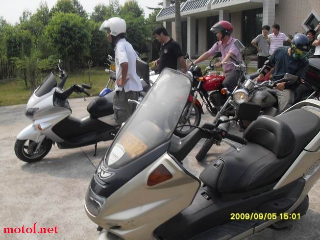 SDC10466.JPG
