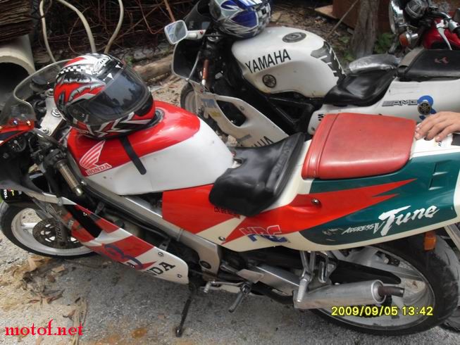 SDC10431.JPG