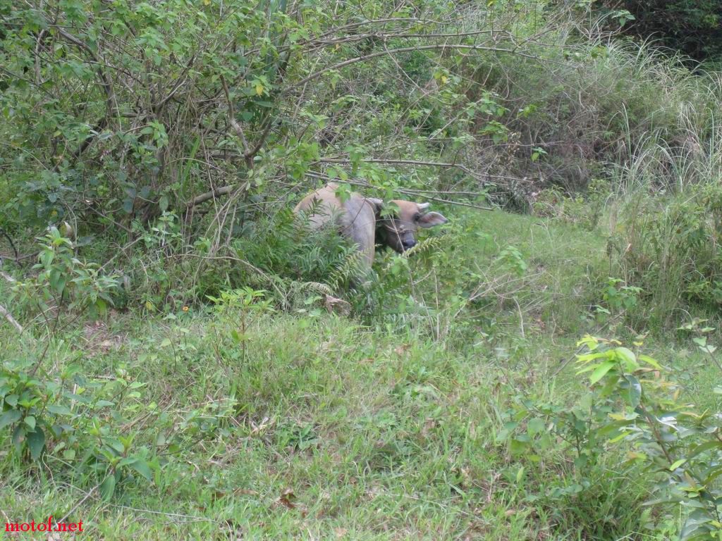 IMG_4040.JPG