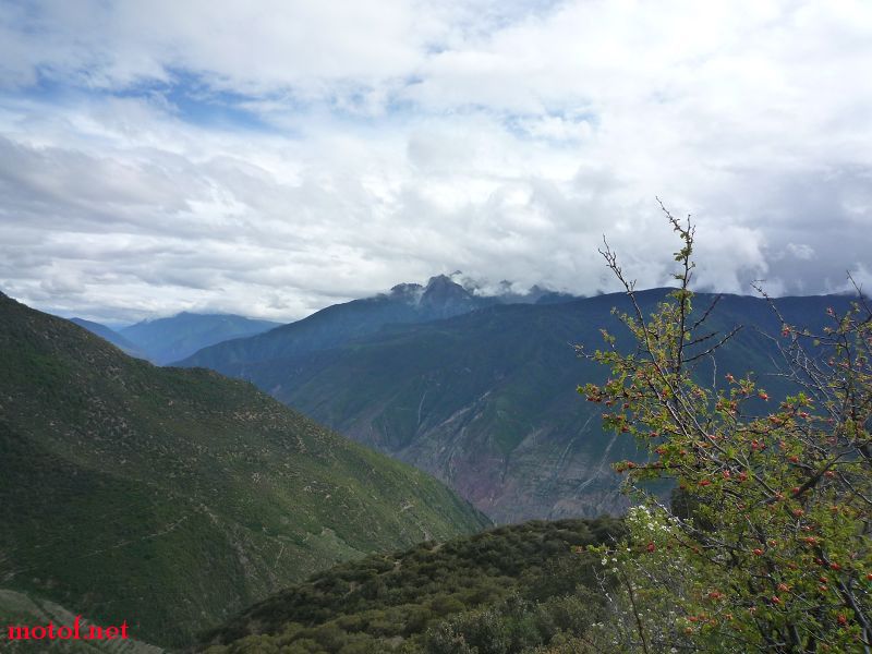 P1030184.jpg
