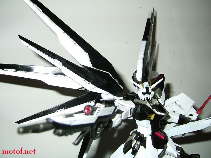 DSCF5709.jpg