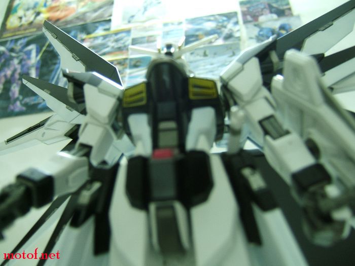 DSCF5684.jpg