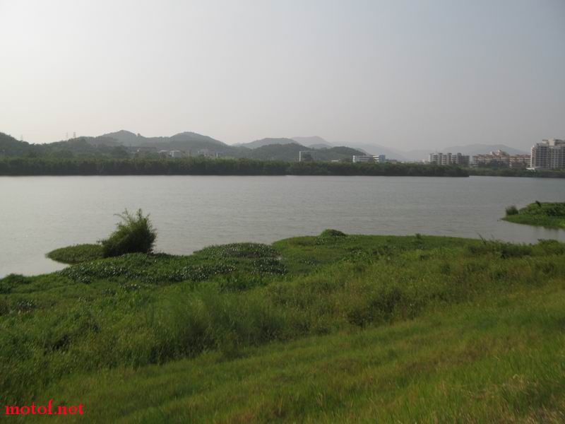 050.JPG