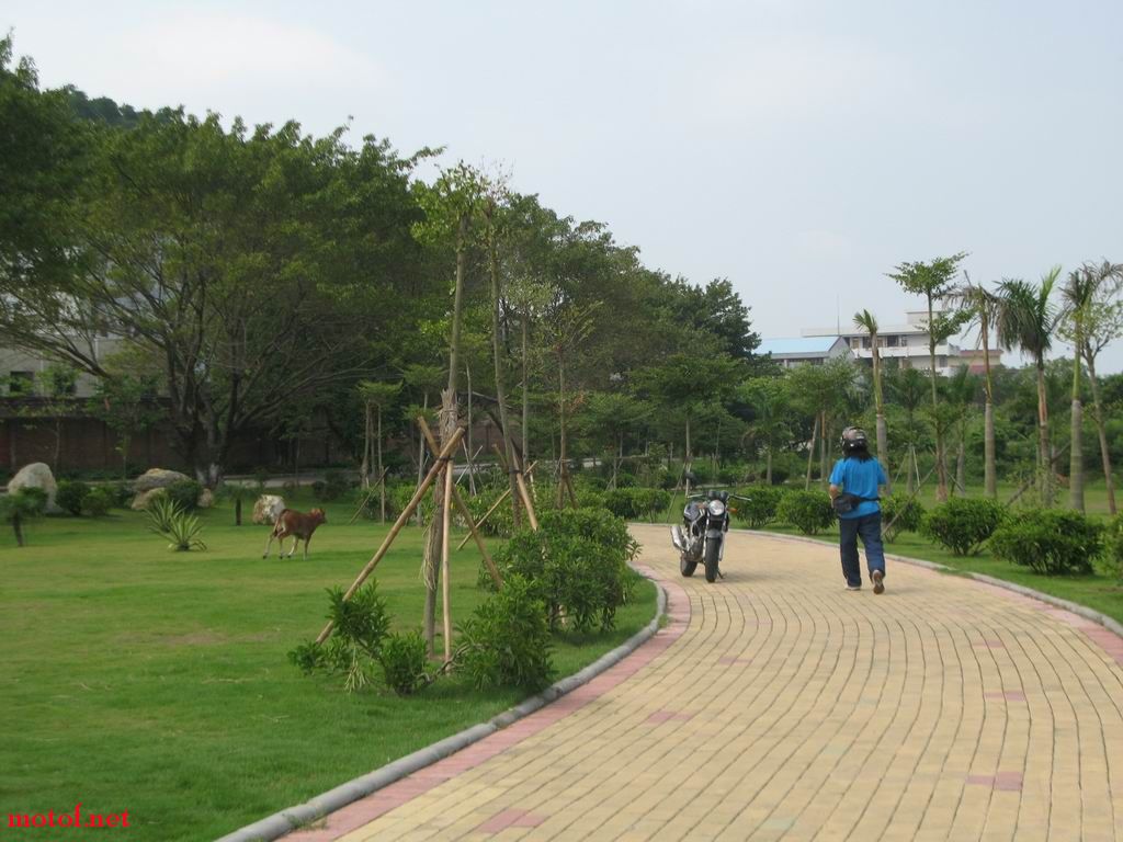 调整大小 IMG_7186.JPG