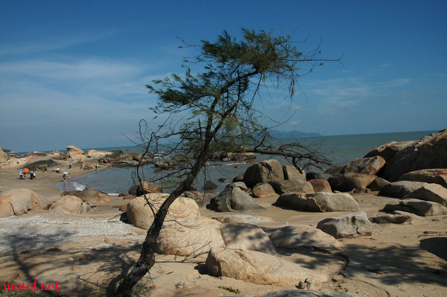 DSC_0442.JPG
