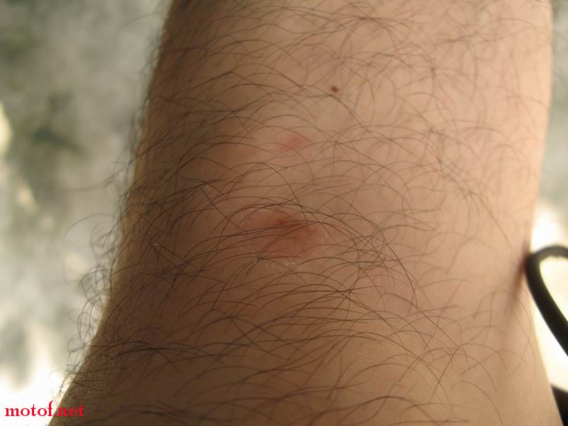04.JPG