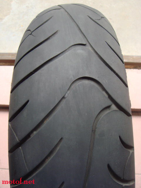 DSC07500.jpg