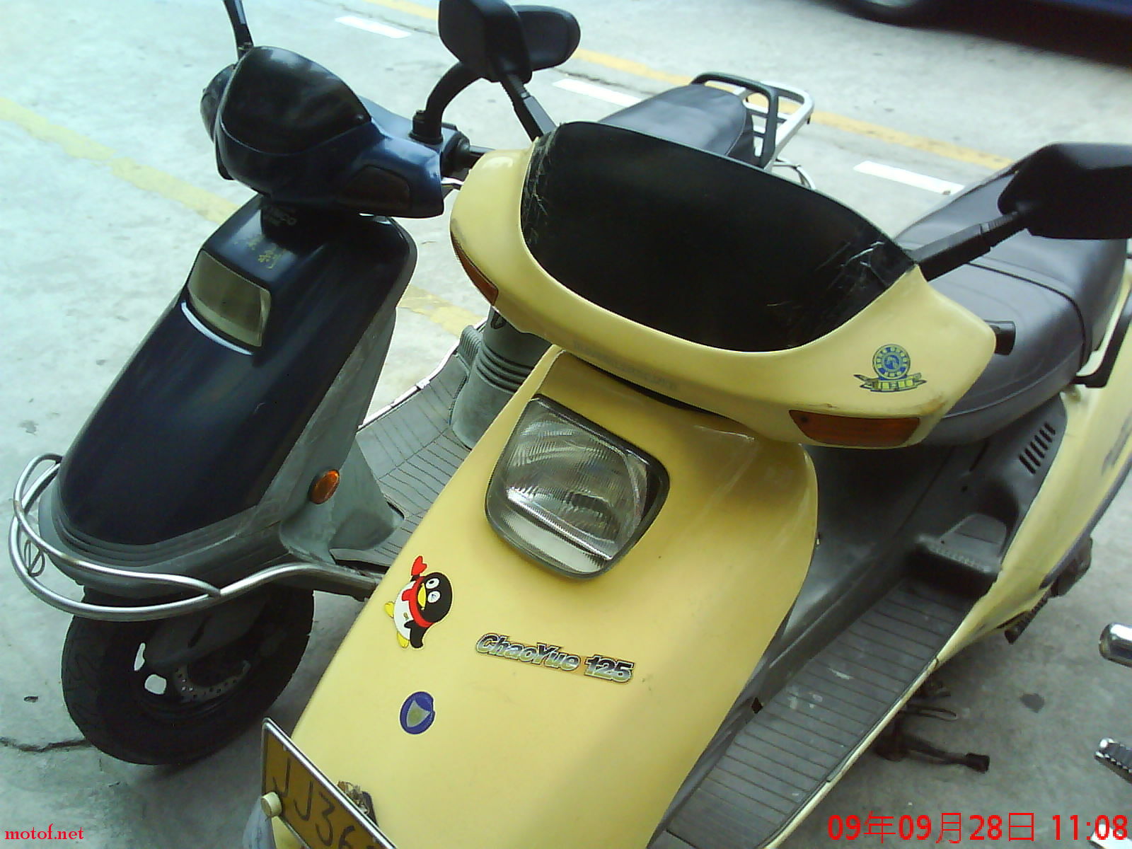 DSC00287.JPG