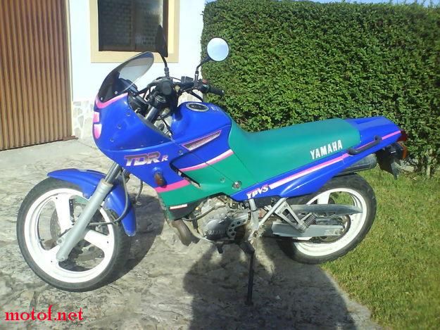 12458408_1.jpg