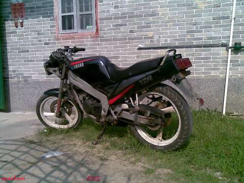 TZR125