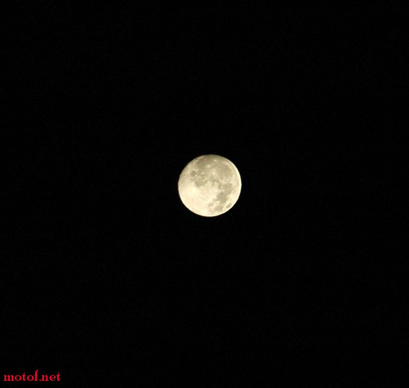 DSC_1235.jpg