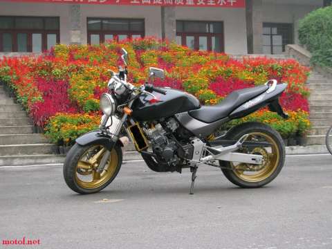 03小黄蜂250