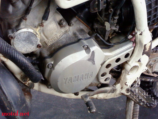 SPM_A0968.jpg
