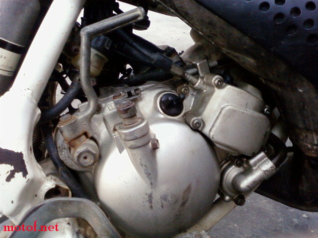 SPM_A0964.jpg