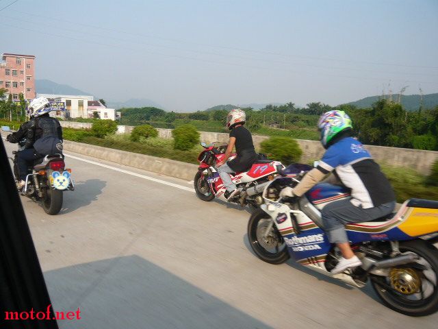 P1100990.JPG
