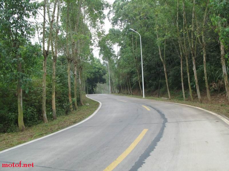 05.JPG