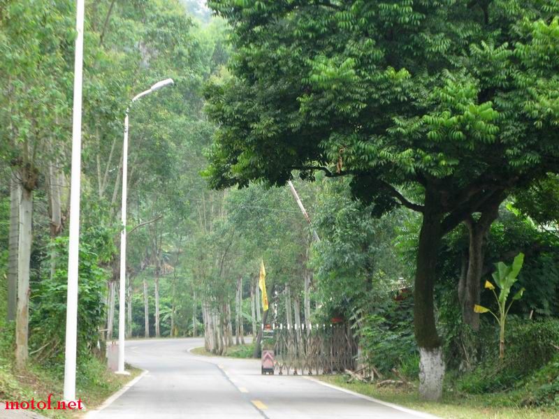 06.JPG