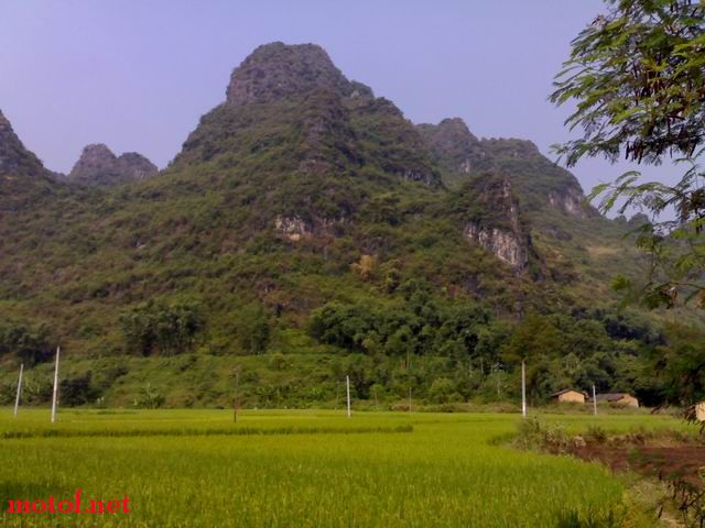调整大小 200910111899.jpg