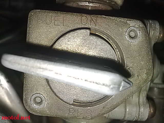 20091017176.jpg