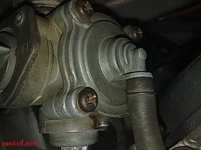 20091018189.jpg