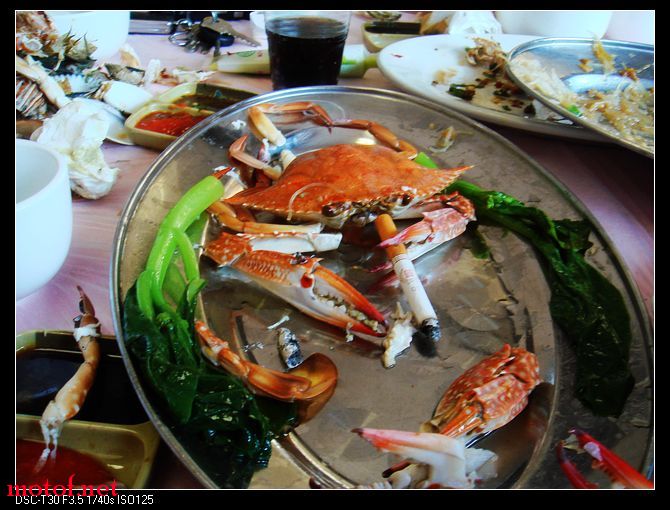 DSC00115.jpg