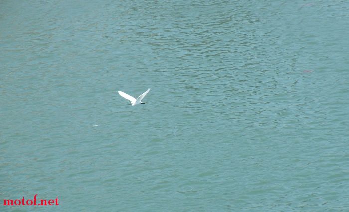 DSCF7686.JPG