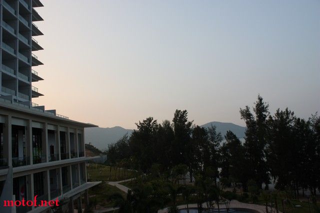 MOTOF 5 484.jpg