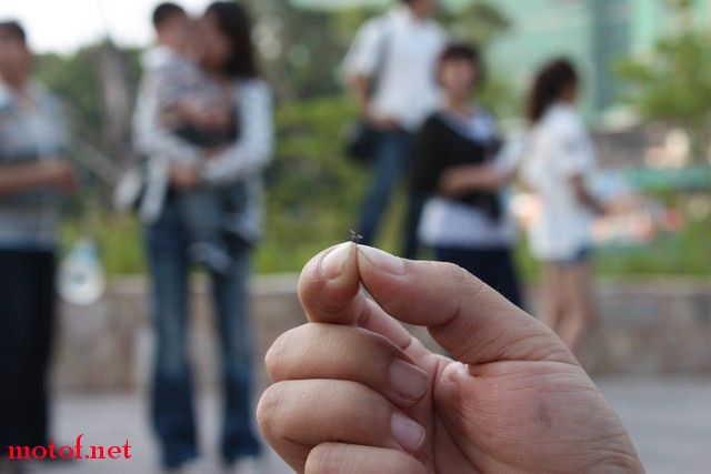 MOTOF 5 054.jpg
