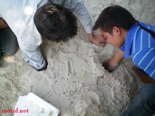 无聊人做的无聊事3.JPG