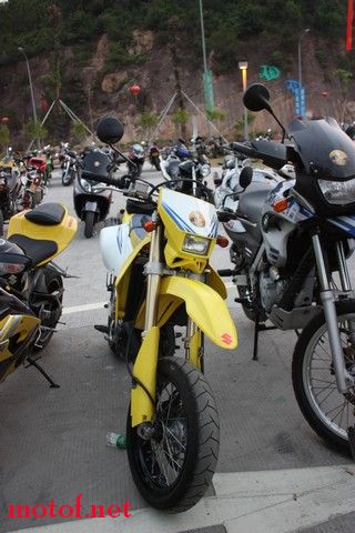 MOTOF 5 388.jpg