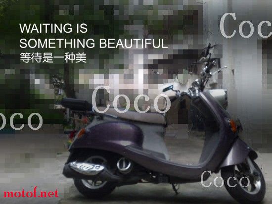 coco.jpg