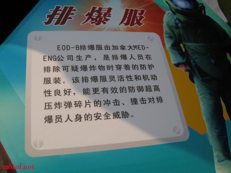 31.JPG