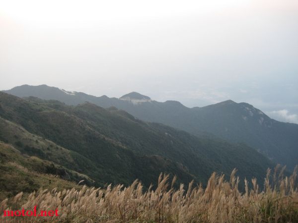 IMG_0627_光影_1.jpg