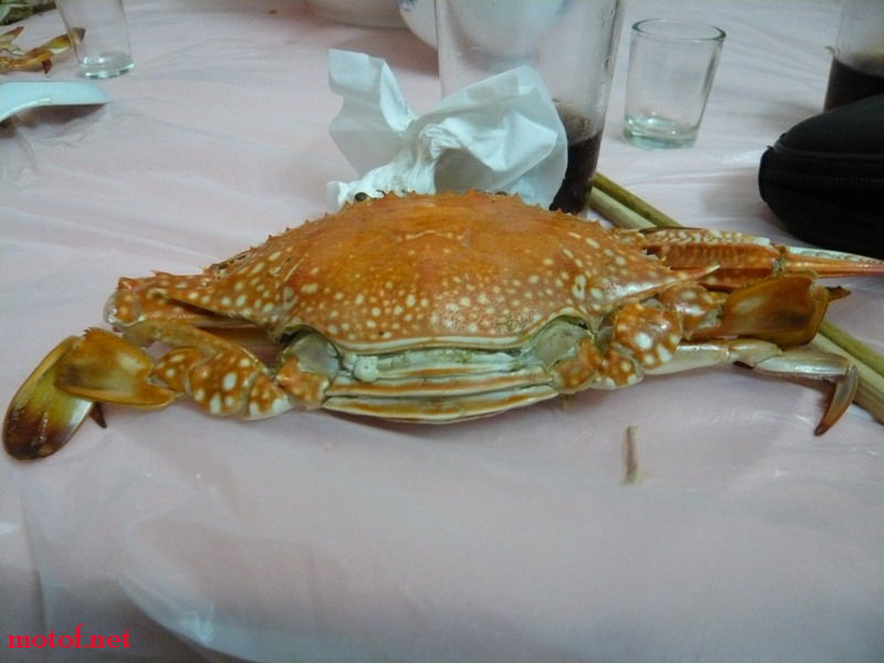 P1130901_调整大小.JPG