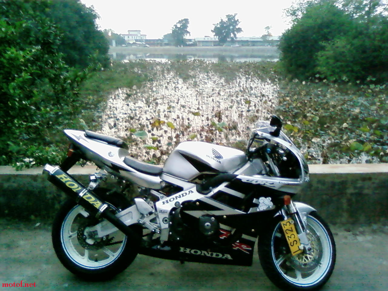 SP_A0536.jpg
