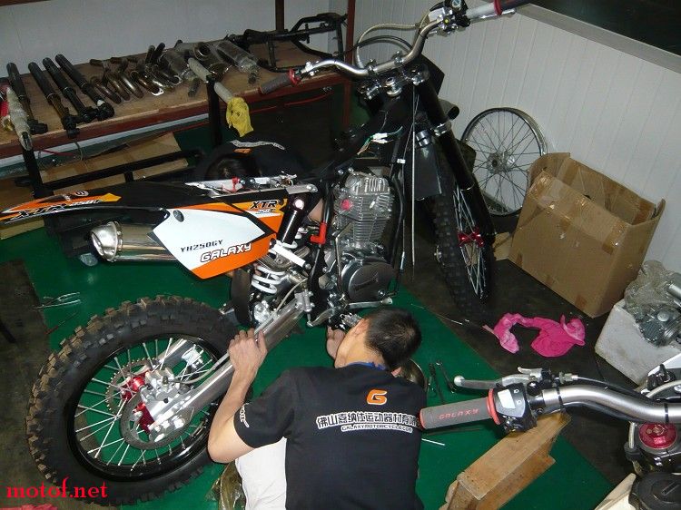 P1050639.jpg