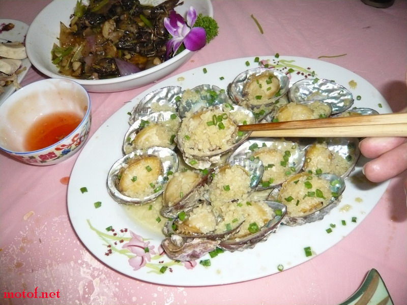 P1130909_调整大小.JPG