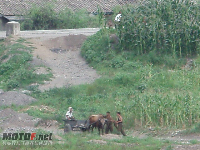 P8139735_调整大小.JPG